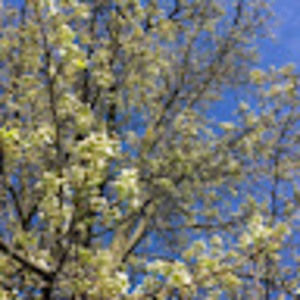 Meet your Posher, Audrey